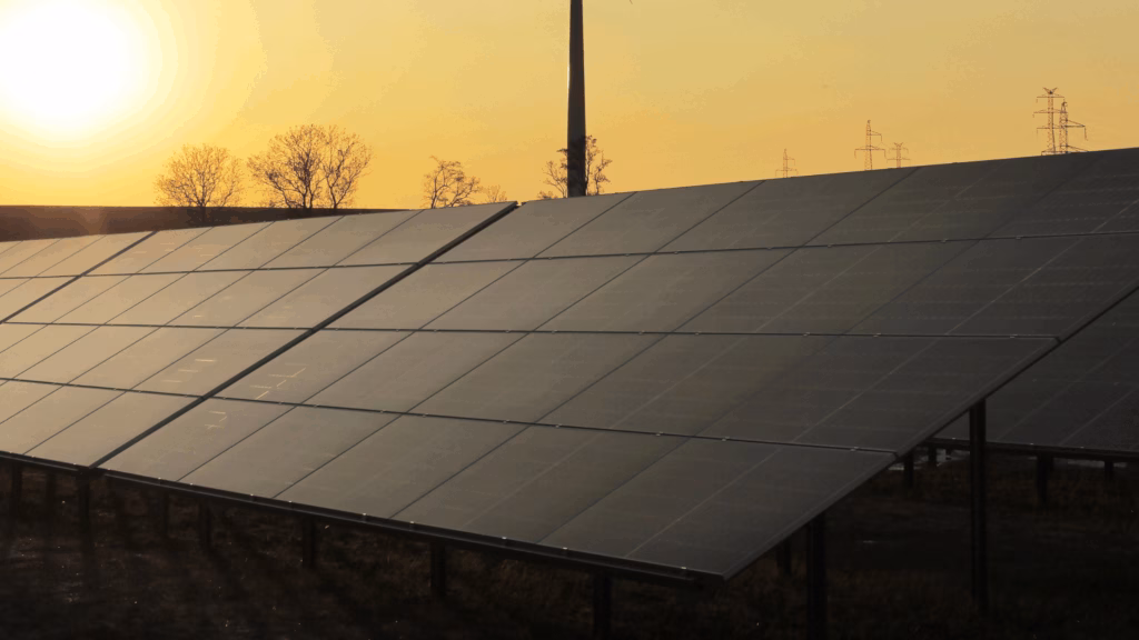 Bifacial Solar Panels